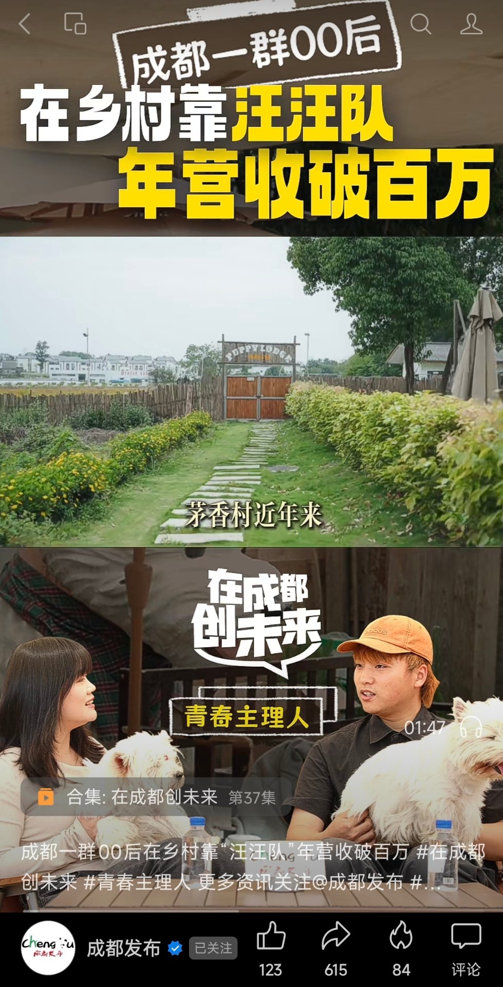 成都发布报道