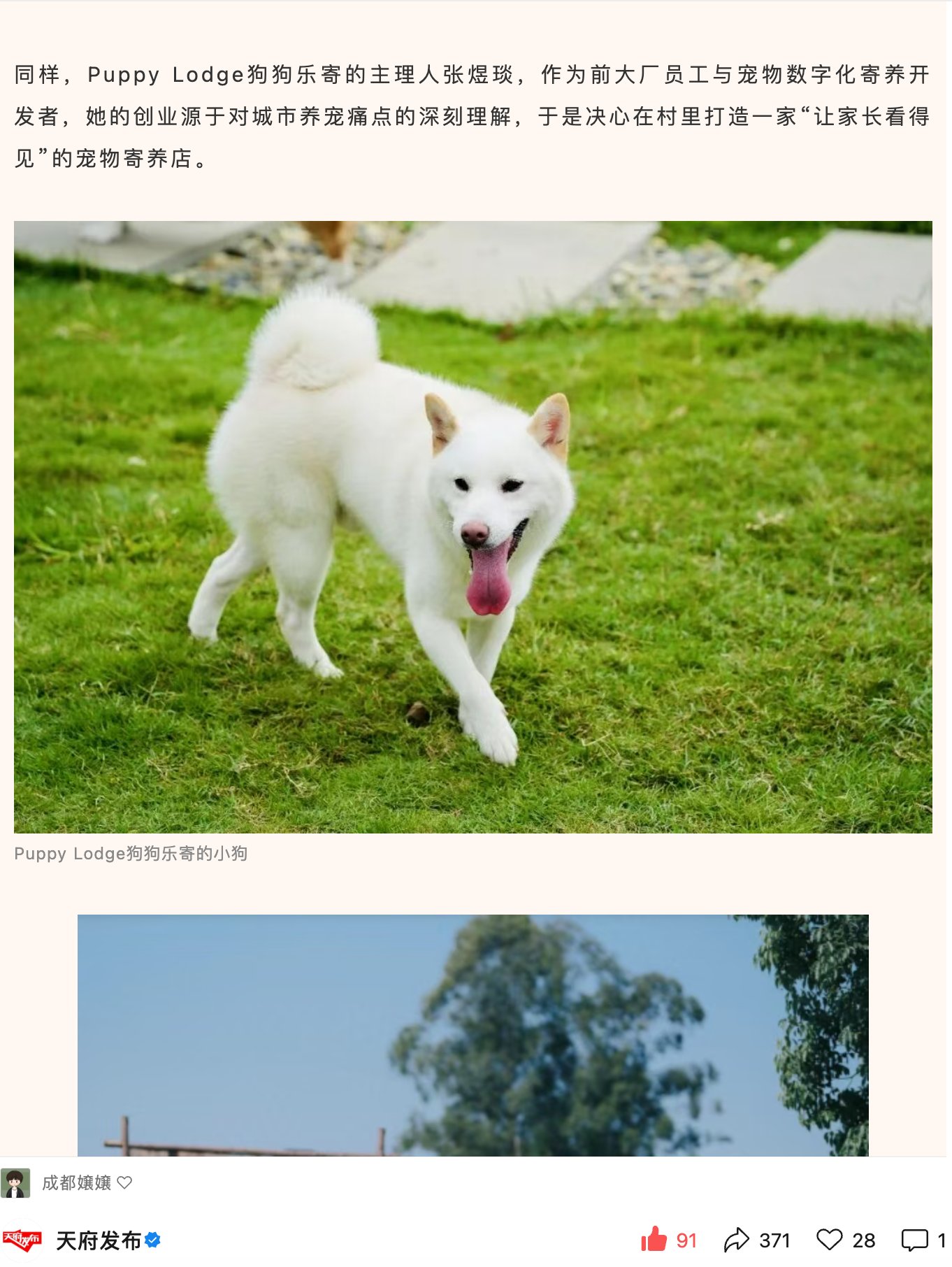 创始人 张煜琰