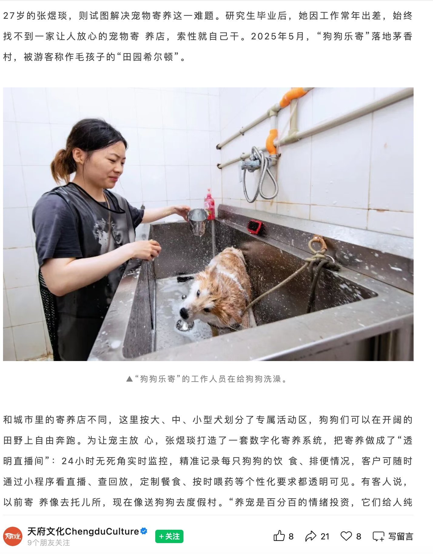天府文旅会展报道